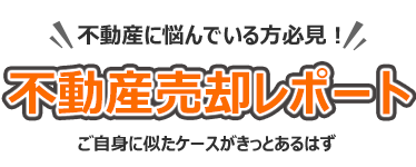 gcsY̔p