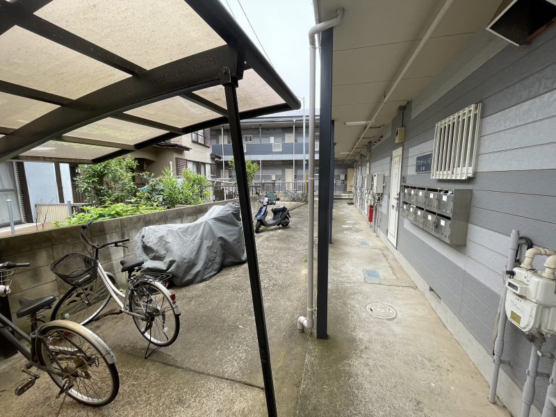 ���̑����n -