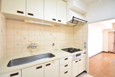 �L�b�`�� �Ɨ��^�C�v�̃V�X�e���L�b�`���ł�