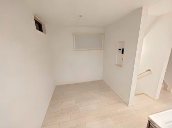 ���̑����� -