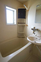 ���� �������