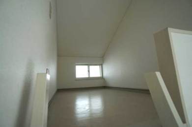 ���̑����� �������