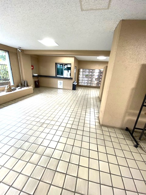 �G���g�����X -